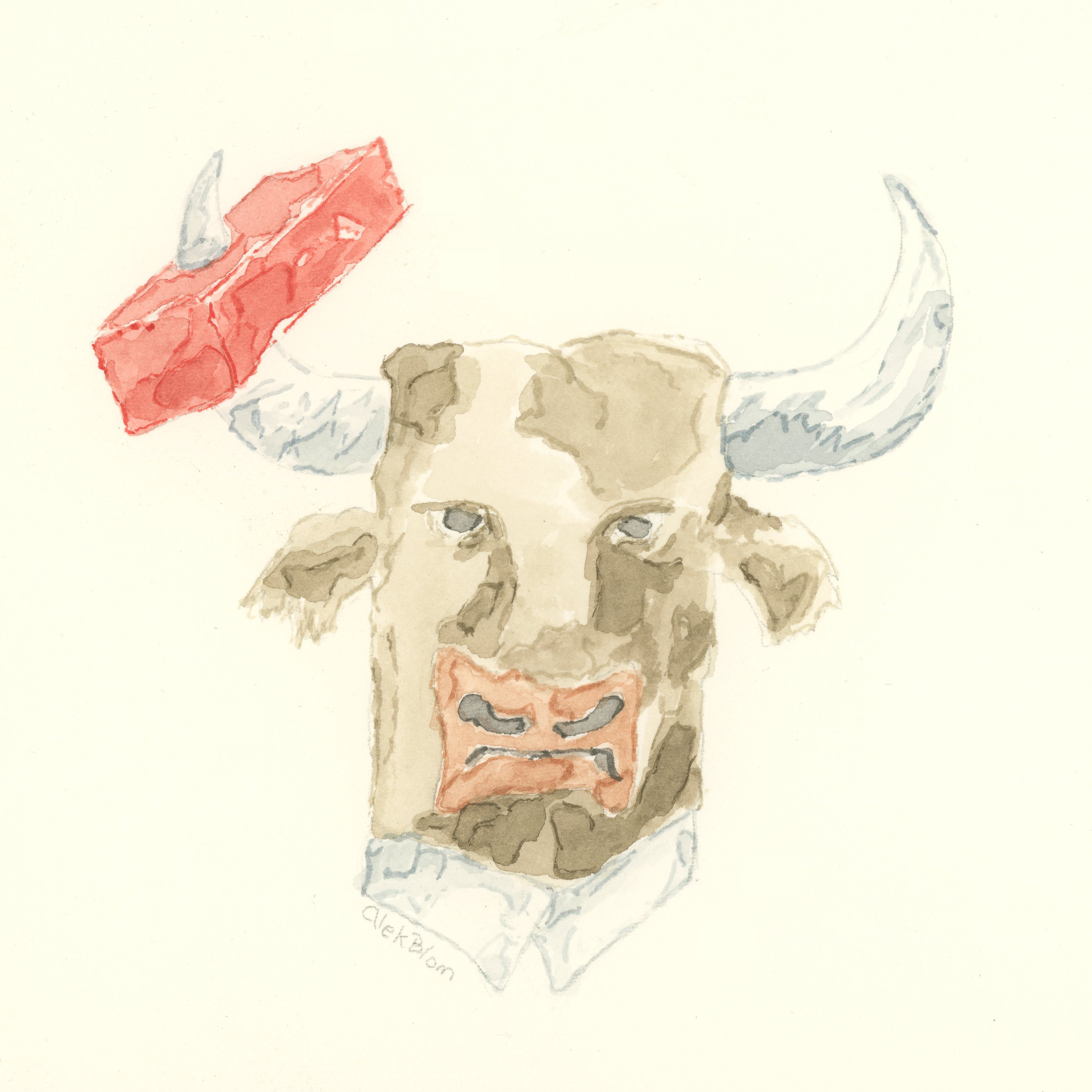 WC Bull #1