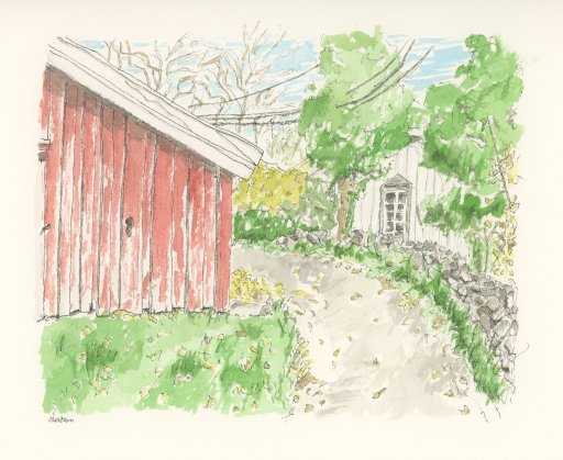 Jomfruland #1